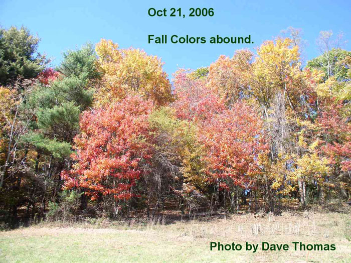 047_Oct_21_Fall_Colors